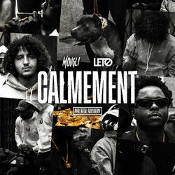 Cover of Calmement