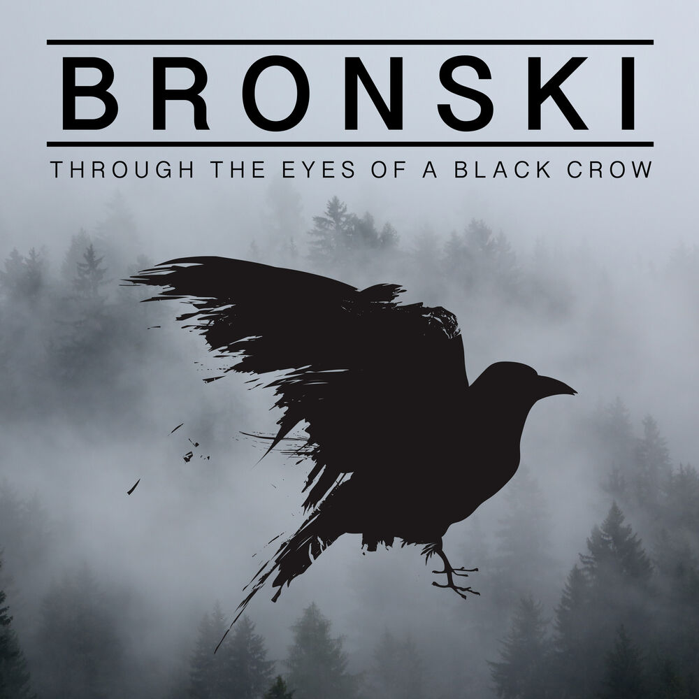 Picture of Through the Eyes of a Black Crow