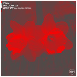 Smalltown DJs — Lonely Day