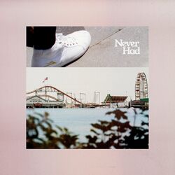 Cover of Never Had