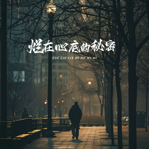 烂在心底的秘密 (对唱版)