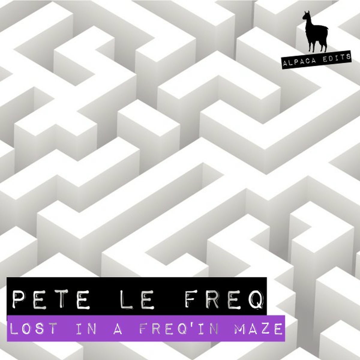 Album cover of Lost in the Freq'in Maze