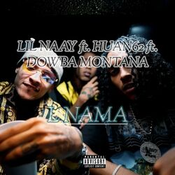 Cover of L Nama