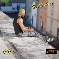 Cover of Seaside Village