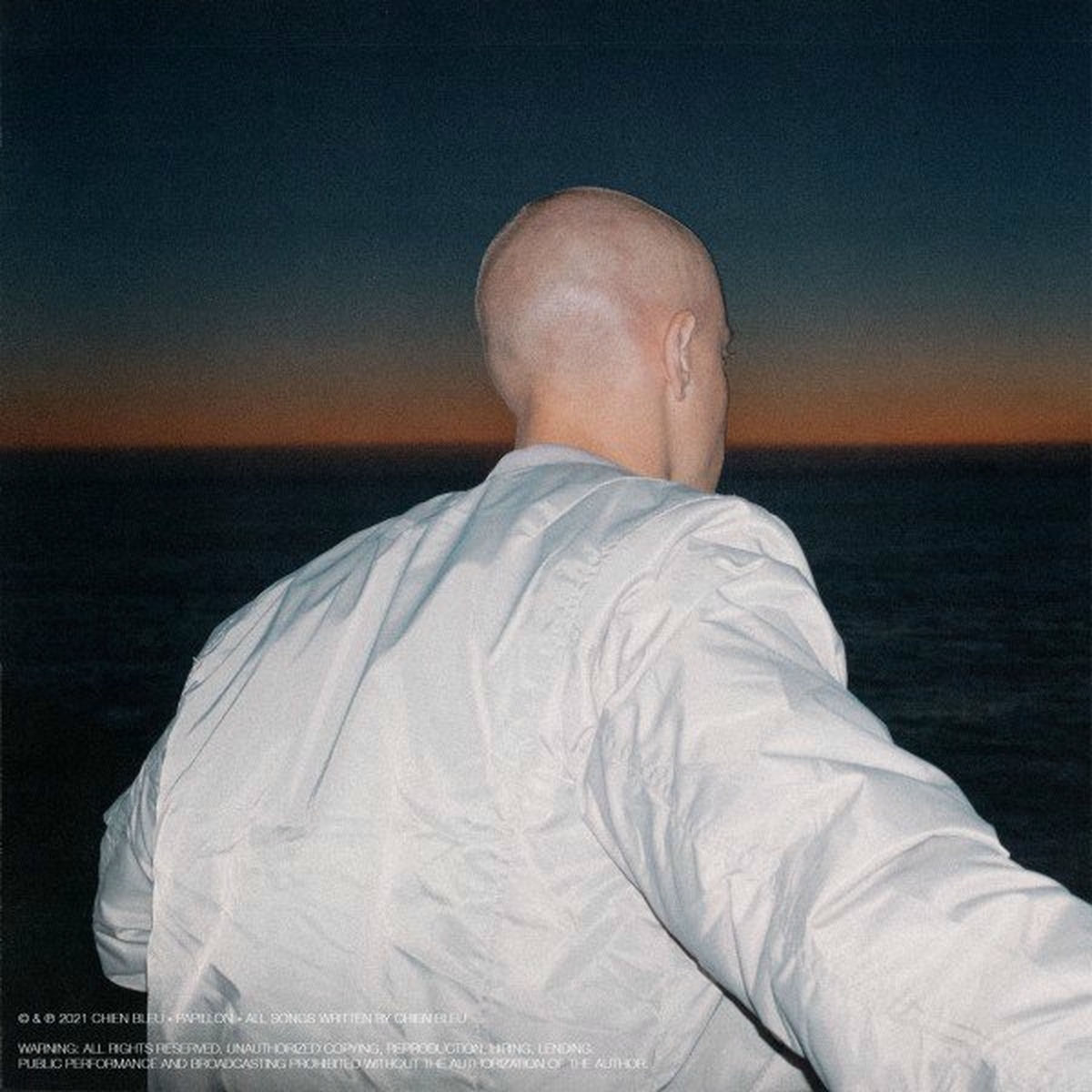 Album cover of Papillon