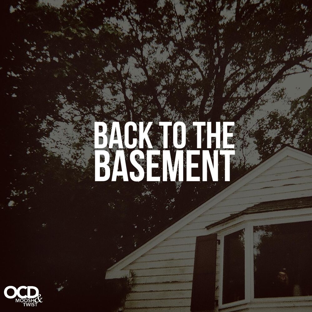 Picture of Back to the Basement