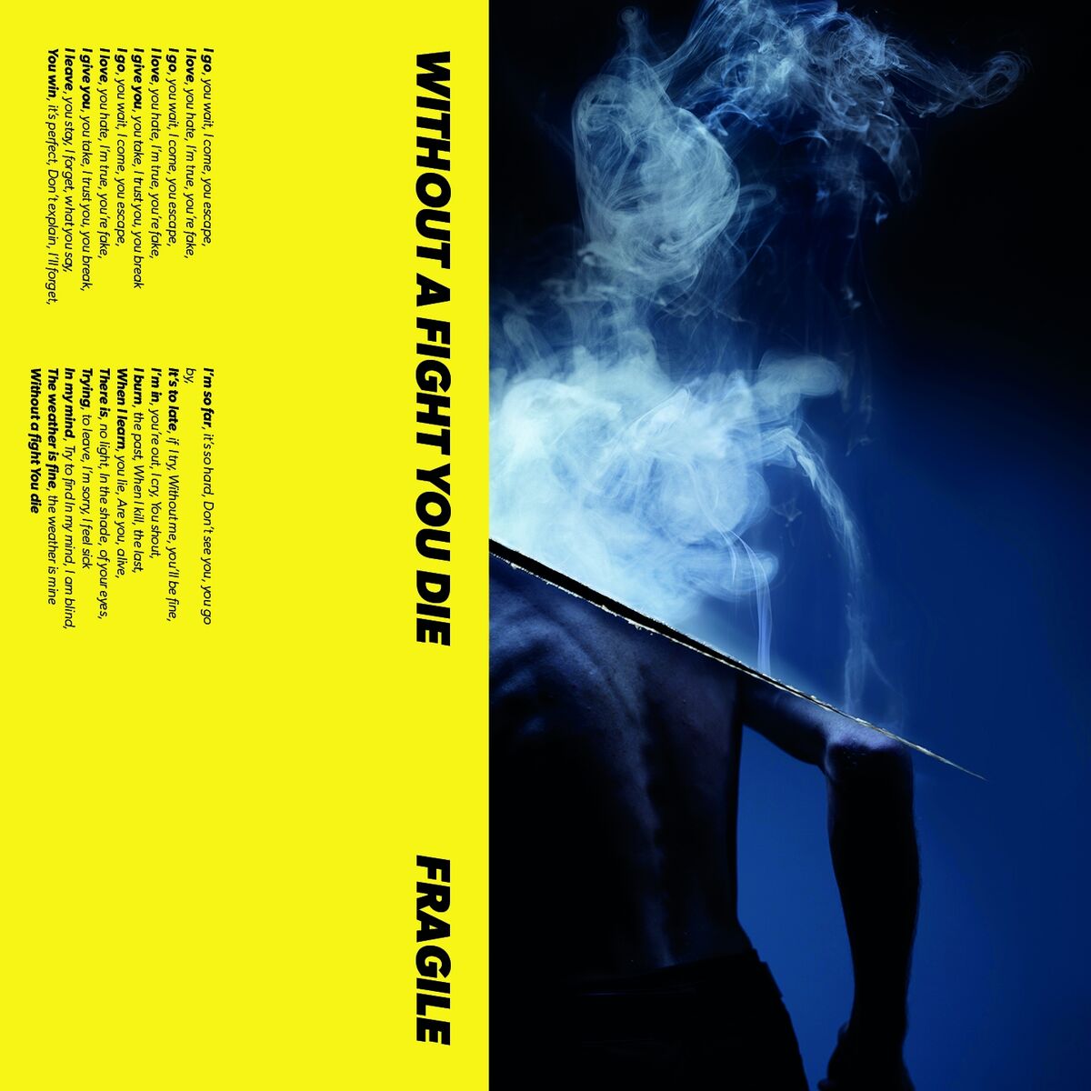 Album cover of Without a Fight You Die