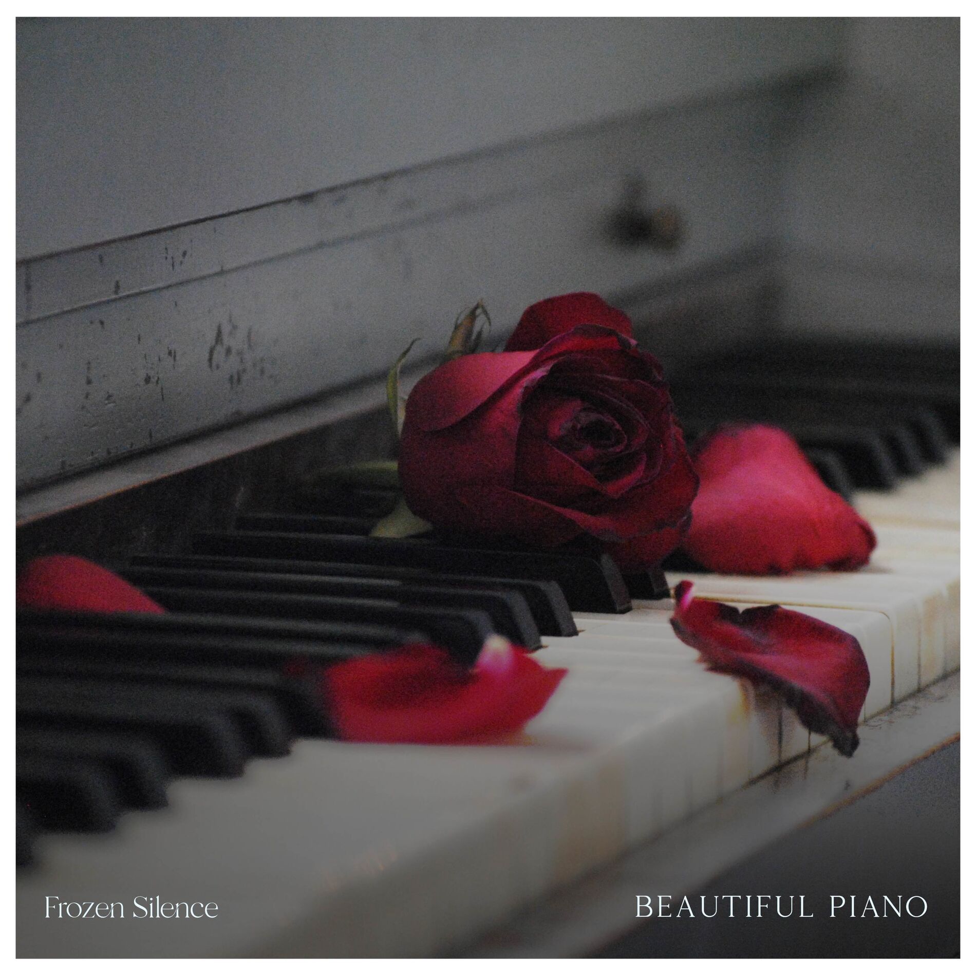 Album cover of Beautiful Piano