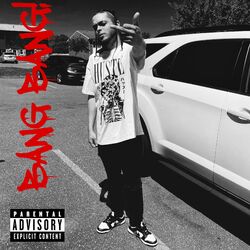 Cover of BANG BANG!