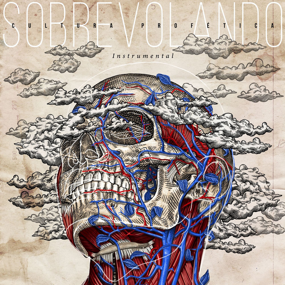 Sobrevolando Instrumental cover