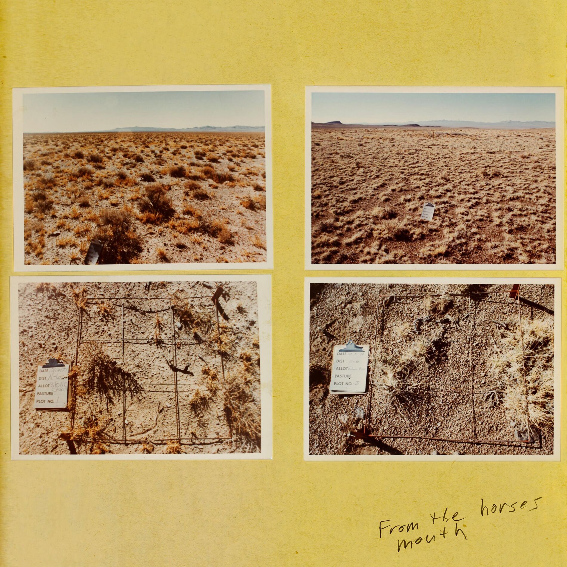Album cover of From the horse’s mouth