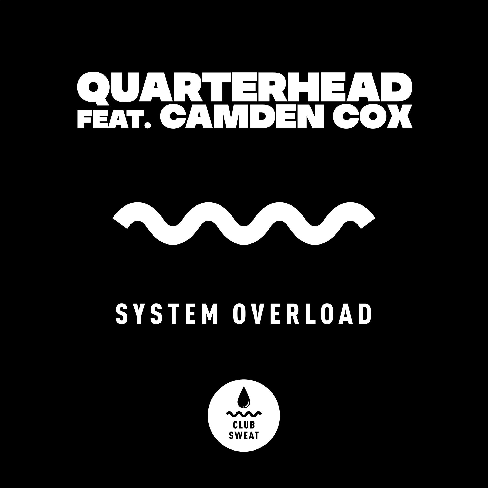 Album cover of System Overload (feat. Camden Cox)