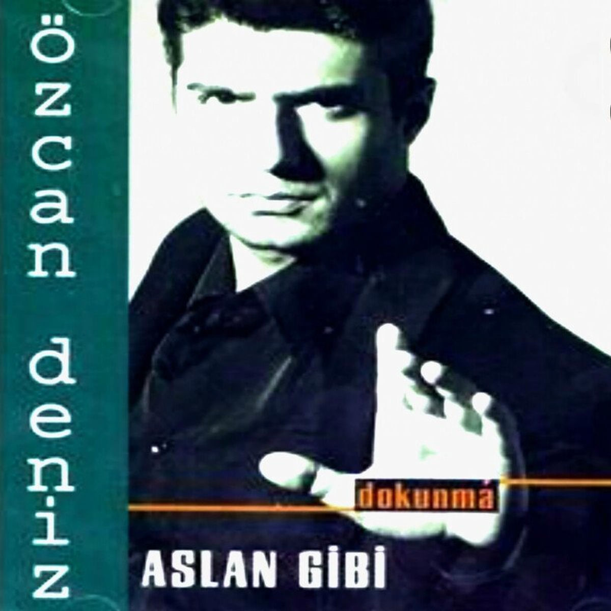 Album cover of Aslan Gibi