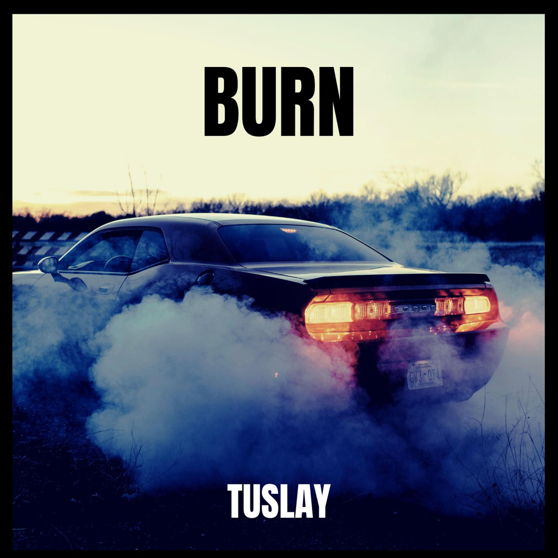 Album cover of Burn