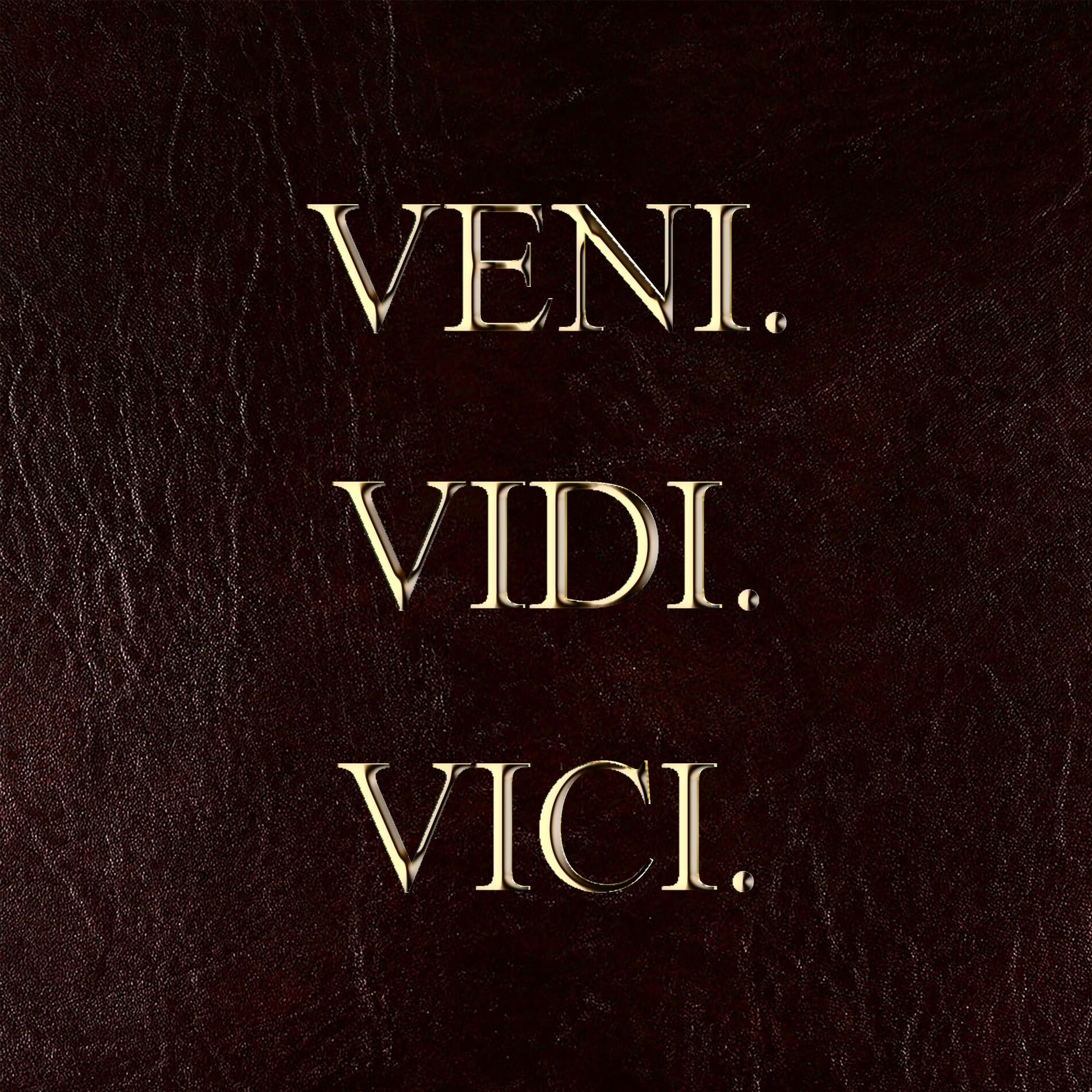 Album cover of Veni Vidi Vici