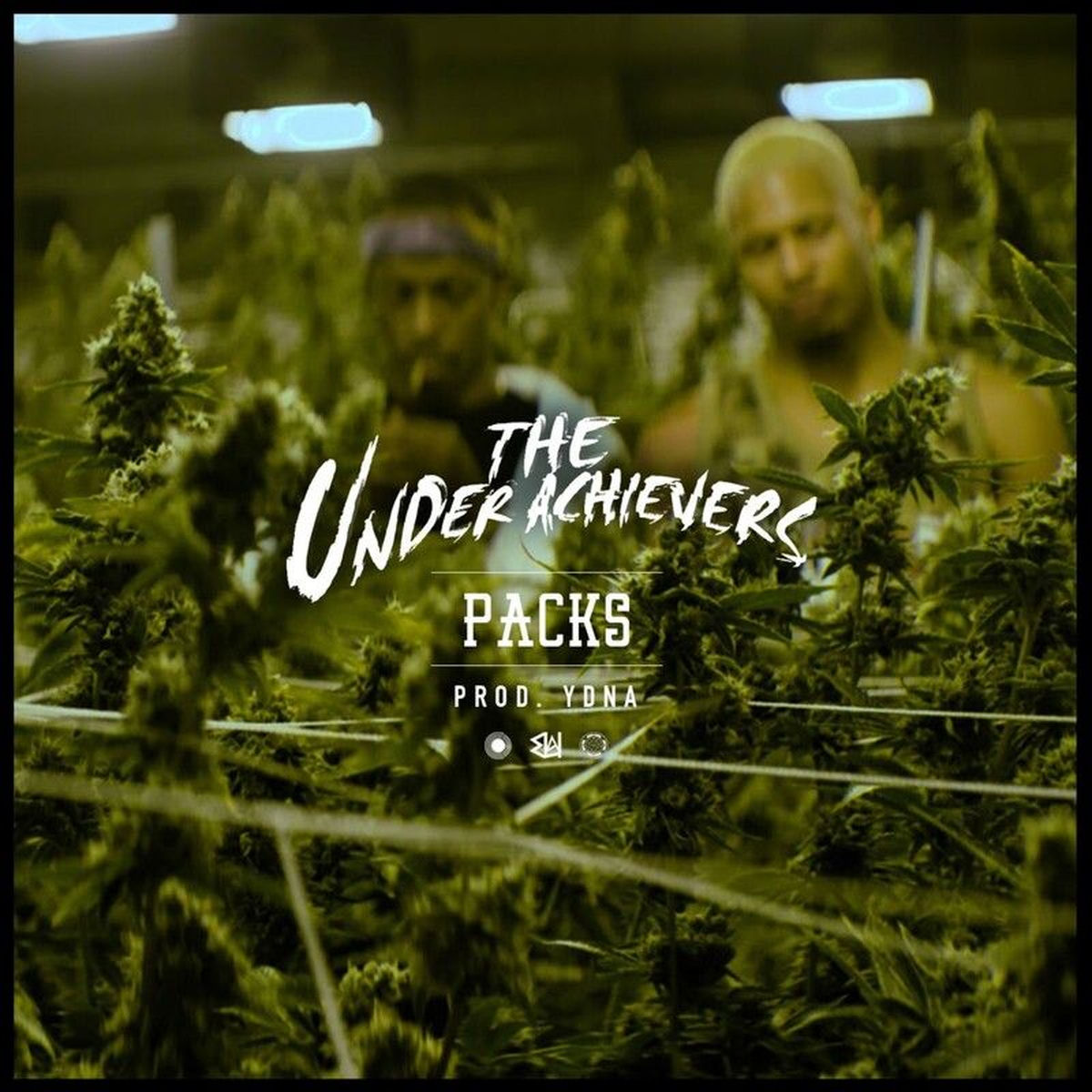 Album cover of Packs