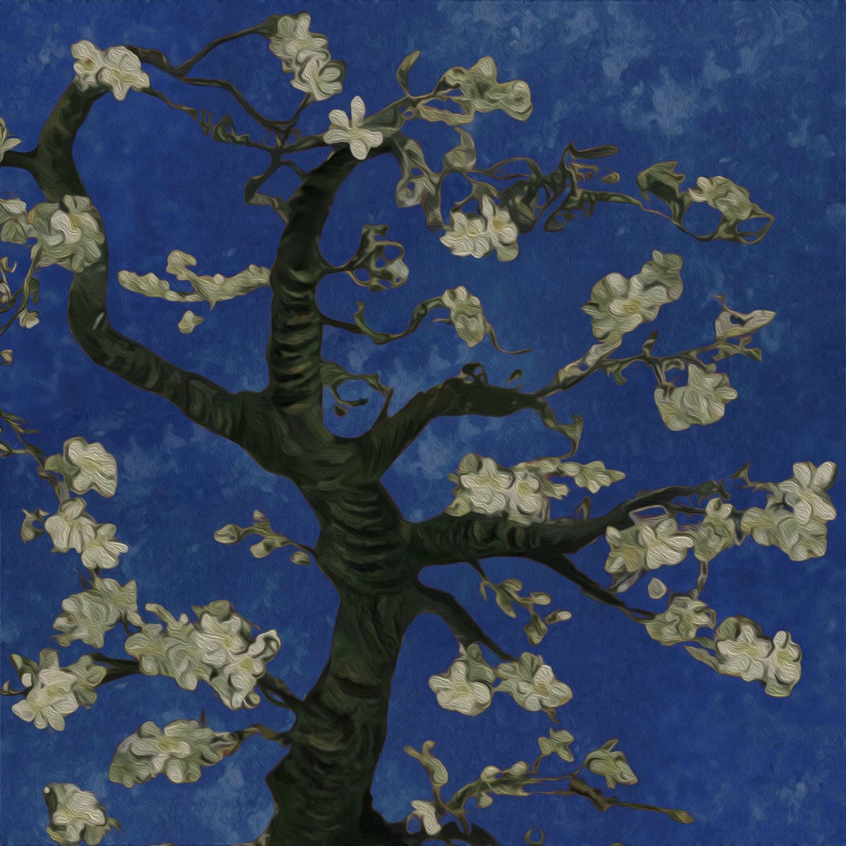 Album cover of oh to be loved