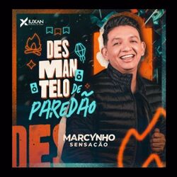 Cover of Desmantelo de Paredão