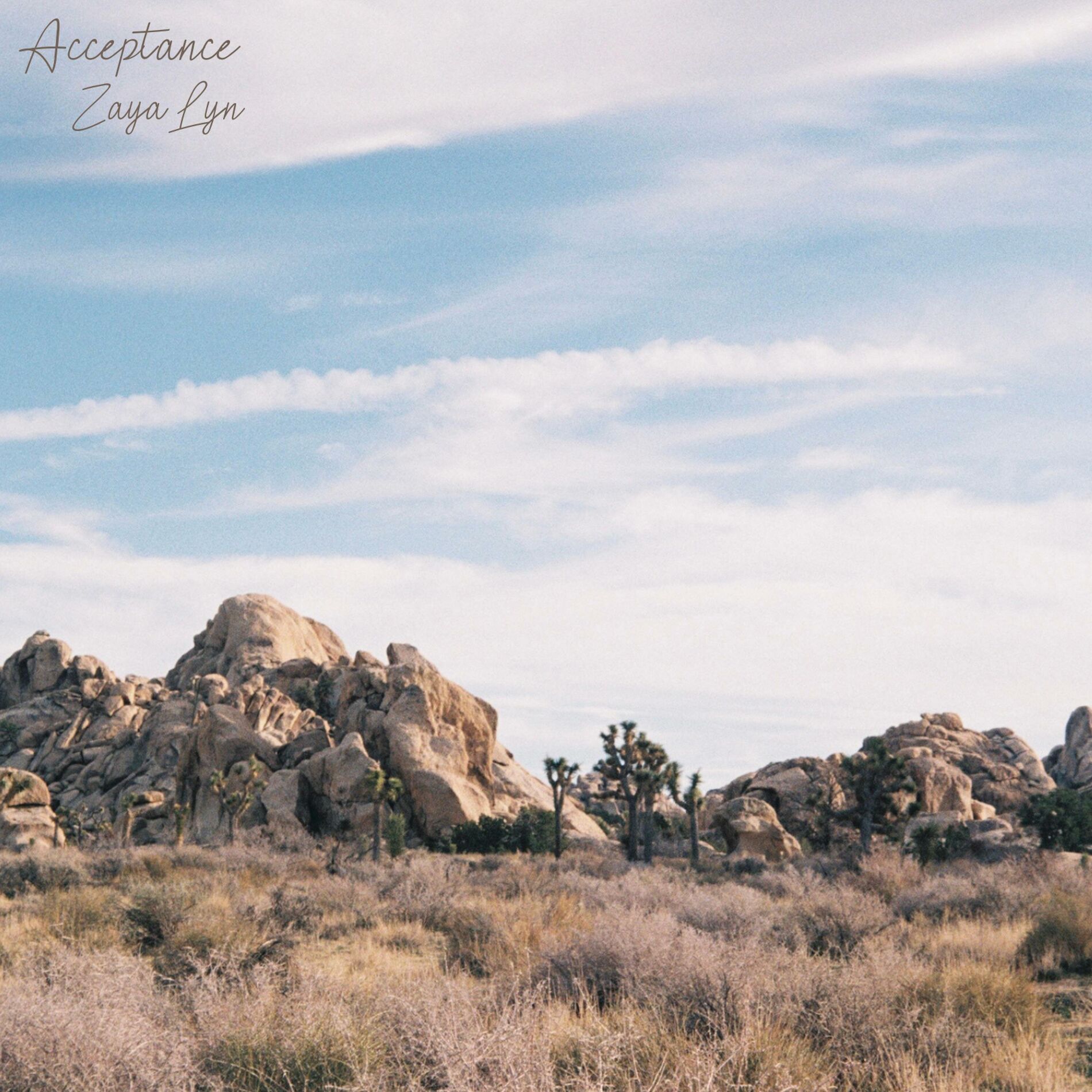 Album cover of Acceptance