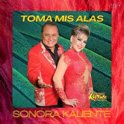 Cover of Toma Mis Alas
