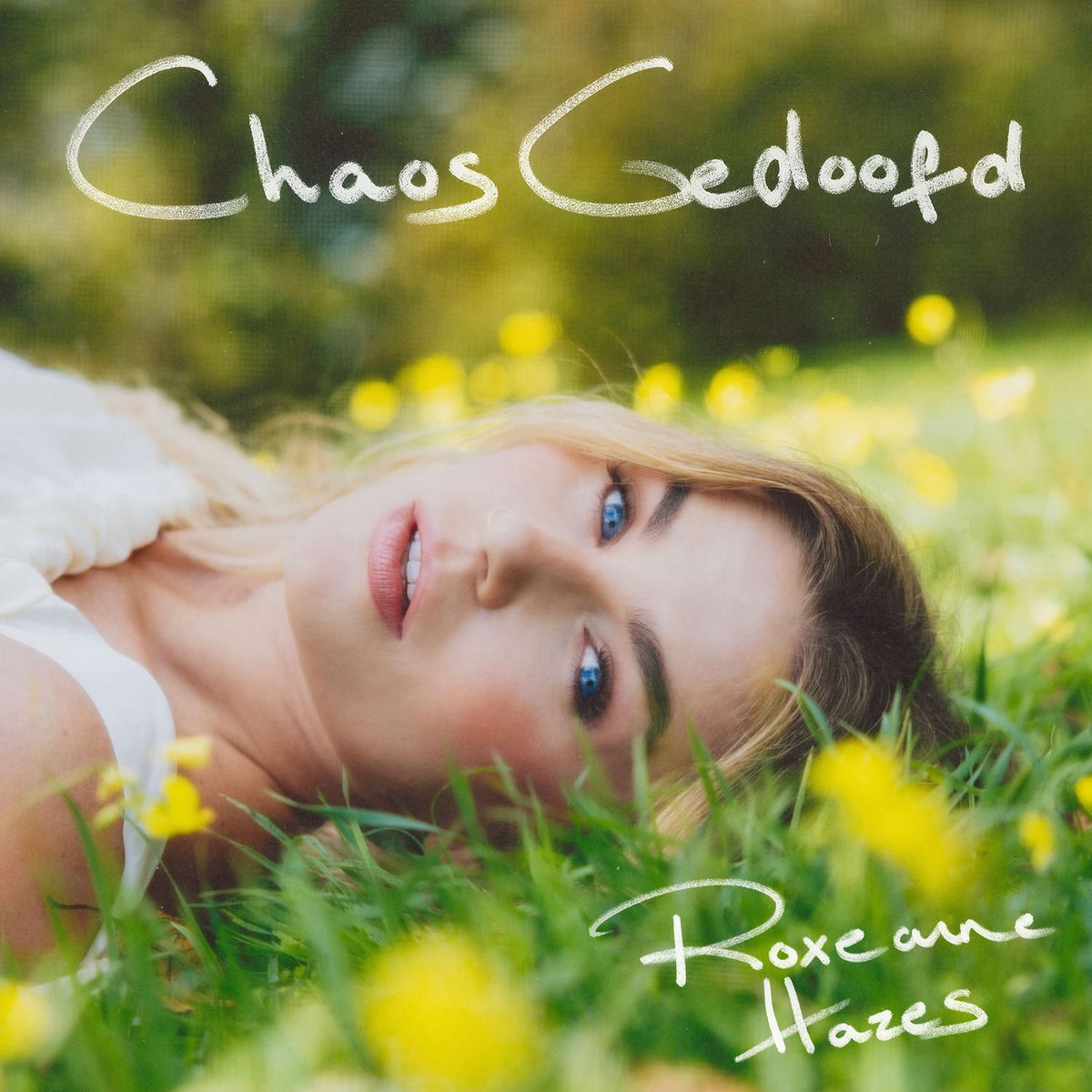 Album cover of Chaos Gedoofd