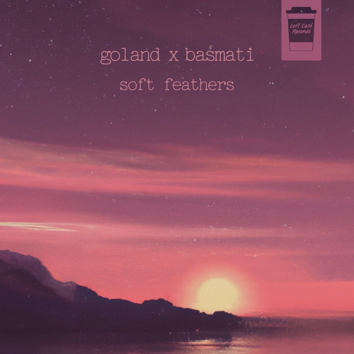 Album cover of Soft Feathers