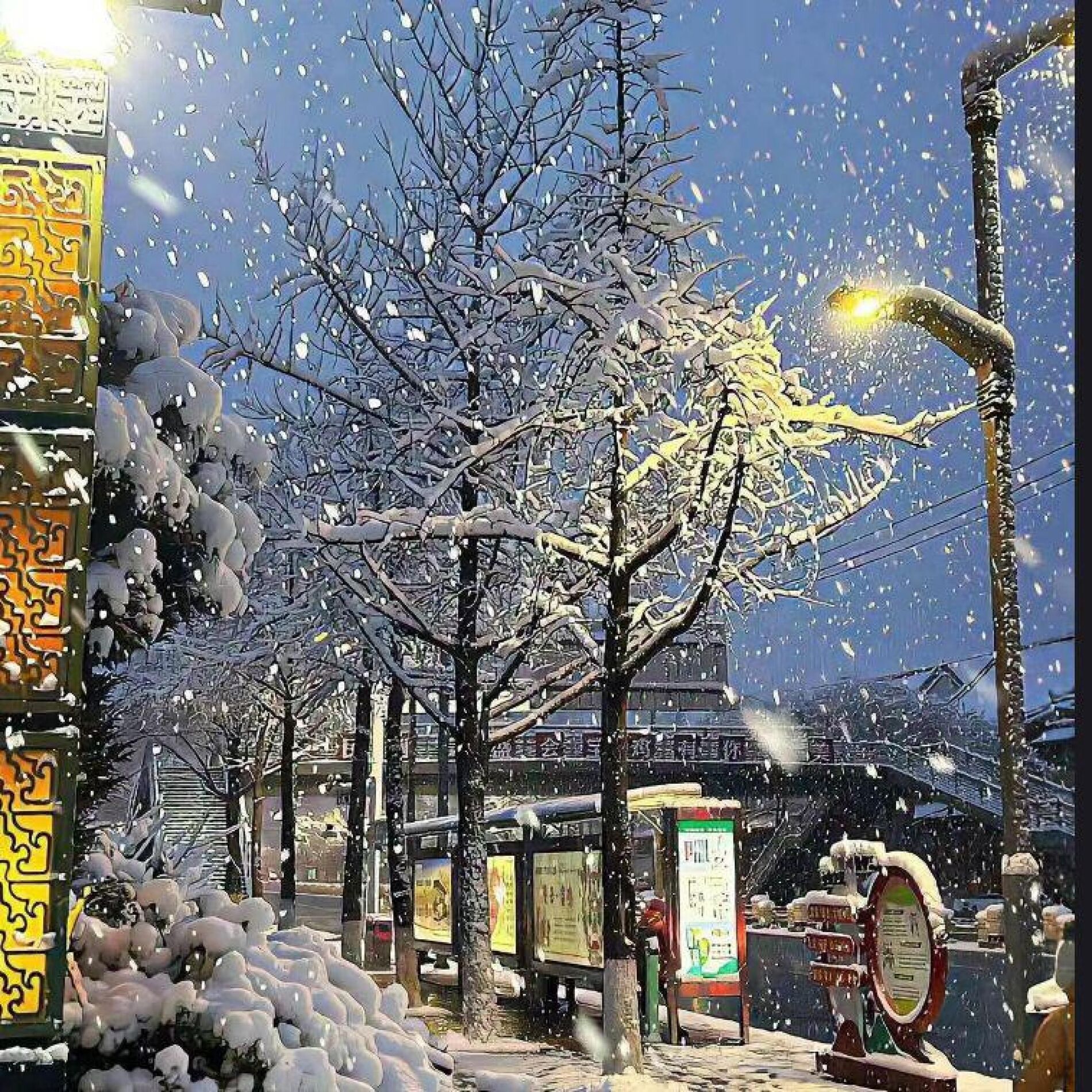 Album cover of 忆冬
