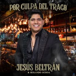 Cover of Por Culpa del Trago