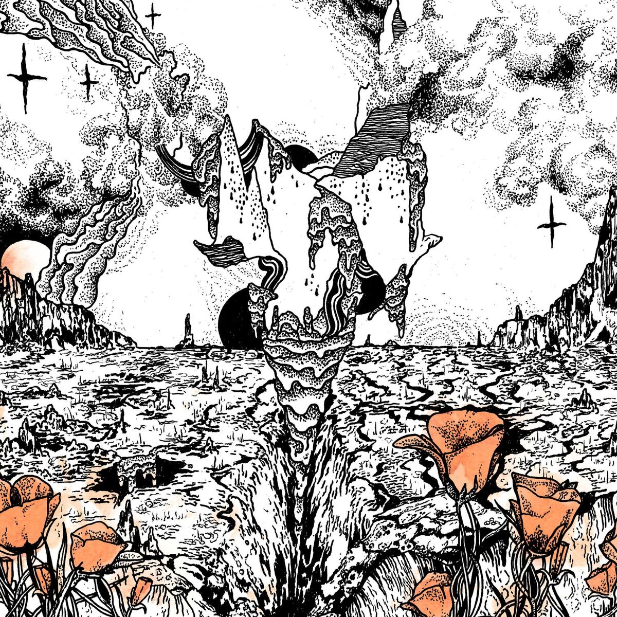 Album cover of Last of the Acid Cowboys