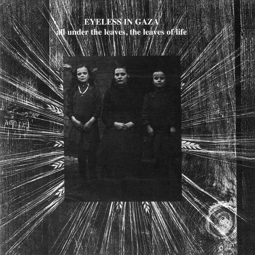 CD Eyeless In Gaza Plague of Years 廃盤