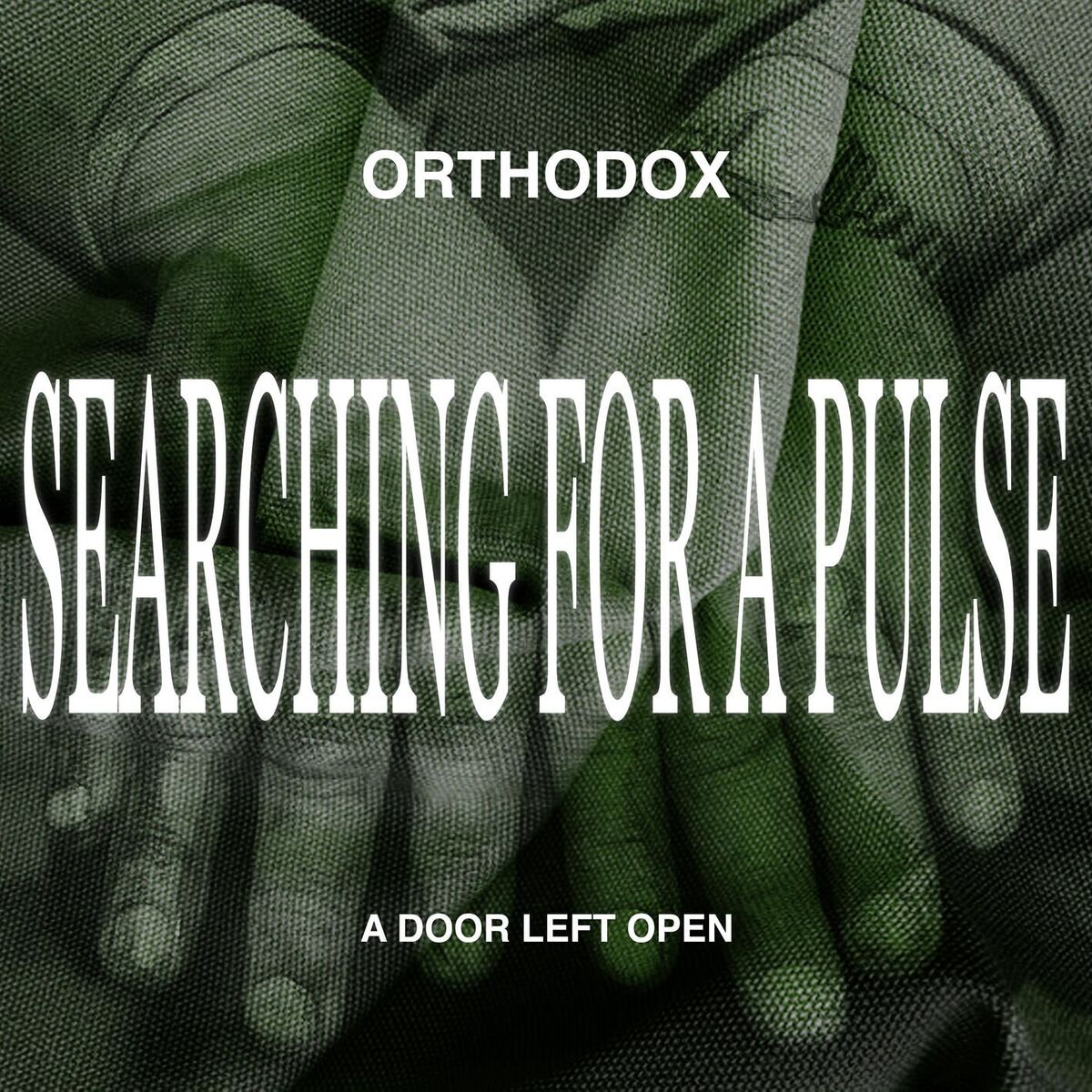 Album cover of Searching for a Pulse