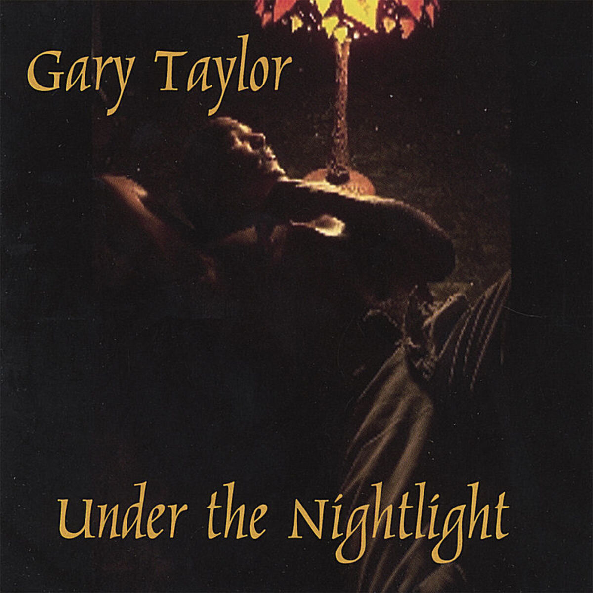 Album cover of Under The NightLight