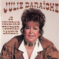 Cover of Je voudrais toucher l'amour