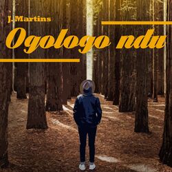 Cover of Ogologo Ndu