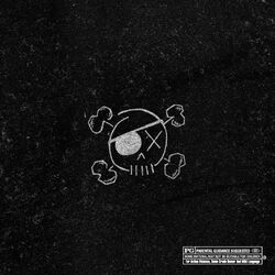 Cover of Pirates sessions