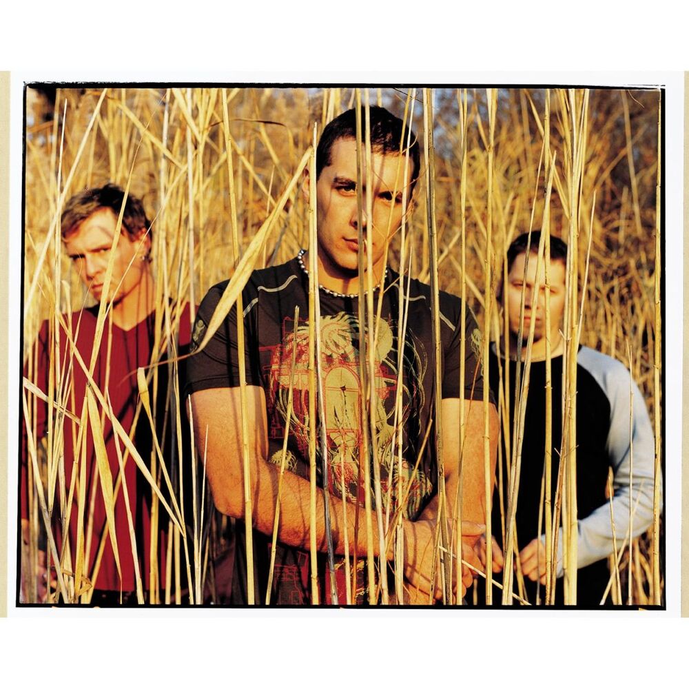 Picture of Wall Of Shame (Online Music)