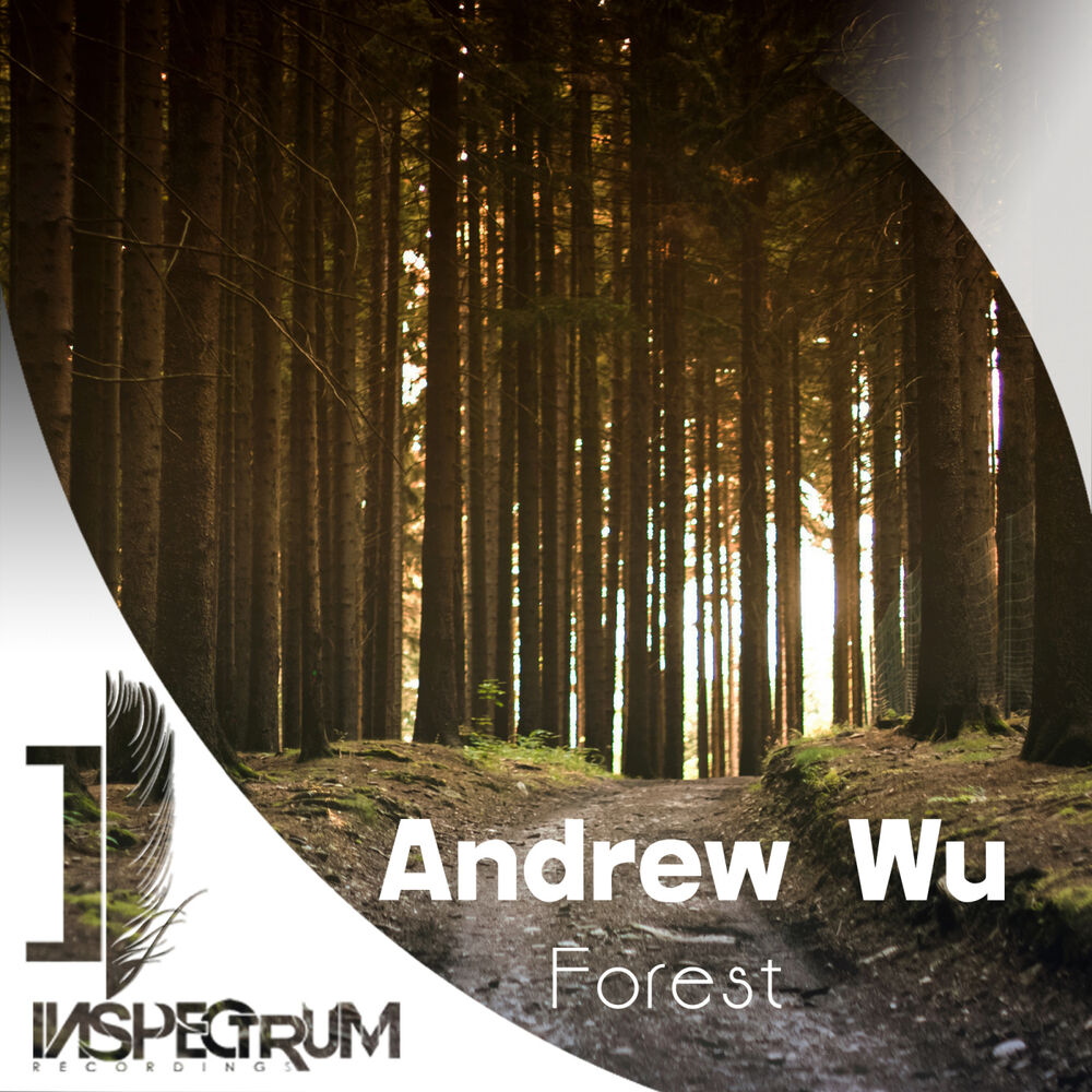 Picture of Forest