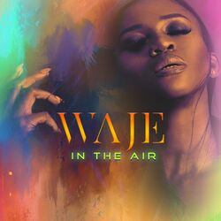 Cover of In the Air