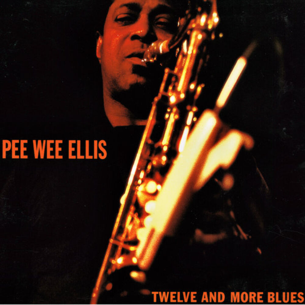 Picture of Twelve and More Blues