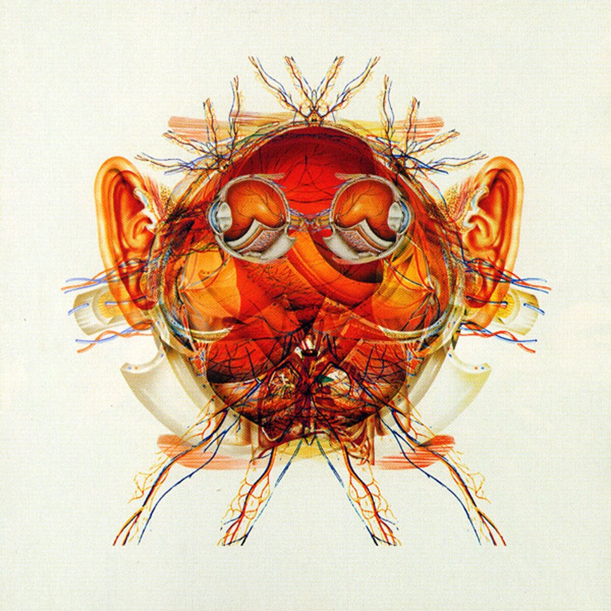 Album cover of Schematic