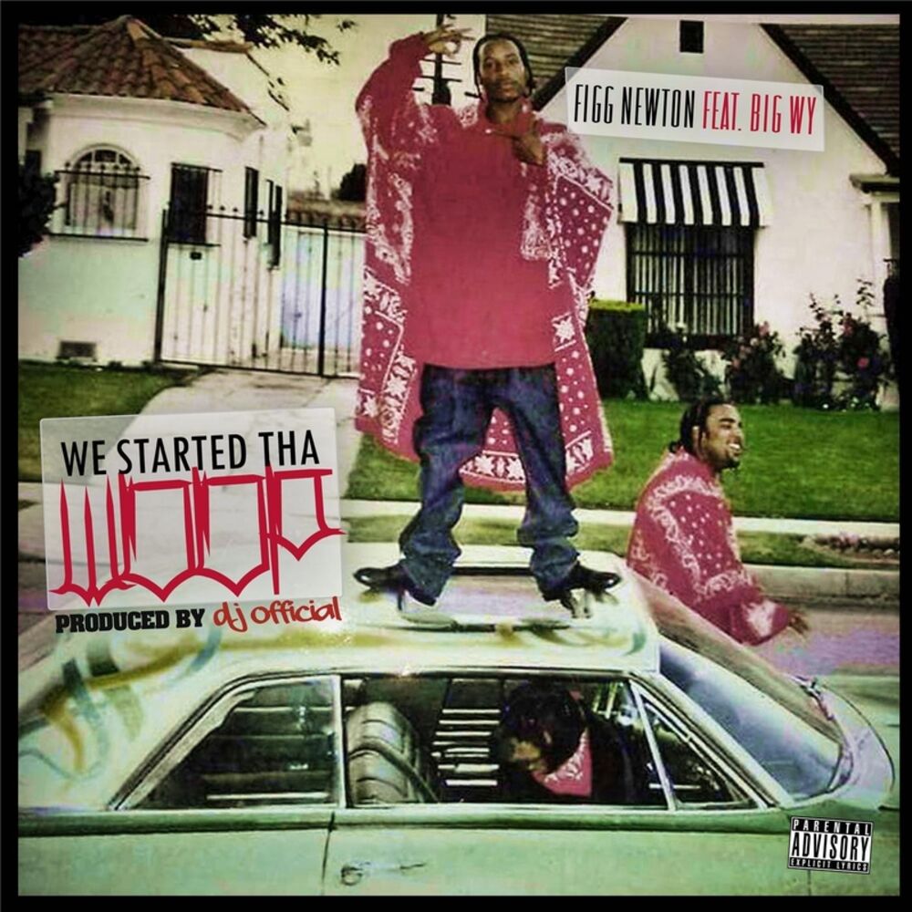 Picture of We Started tha Woop