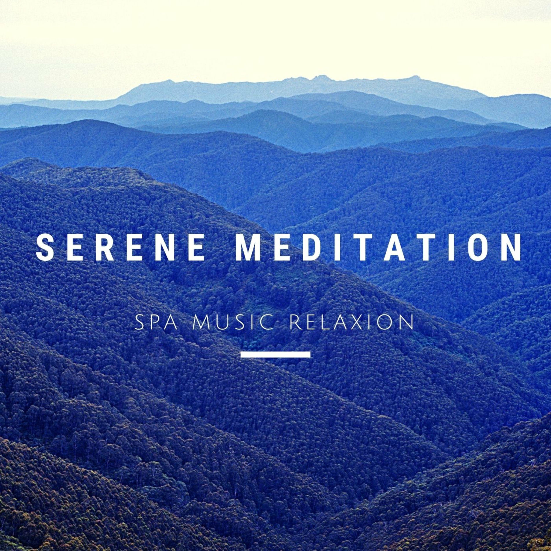 Album cover of Healing With Spa