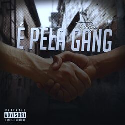 Cover of É pela Gang