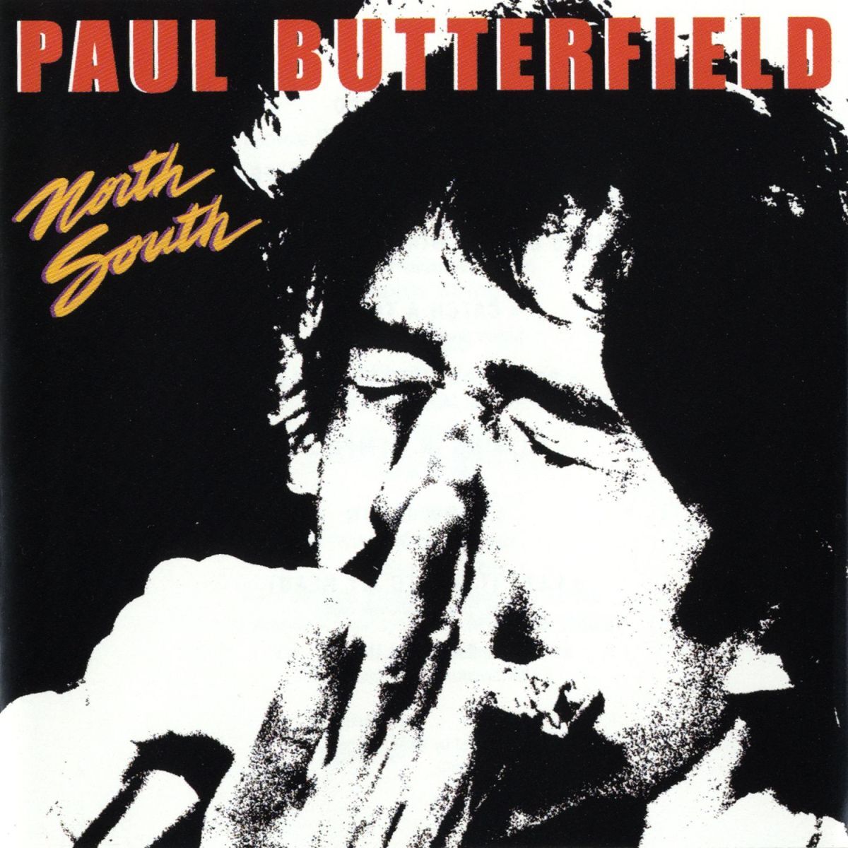 Album cover of Born in Chicago