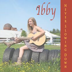 Cover of Never Slowing Down