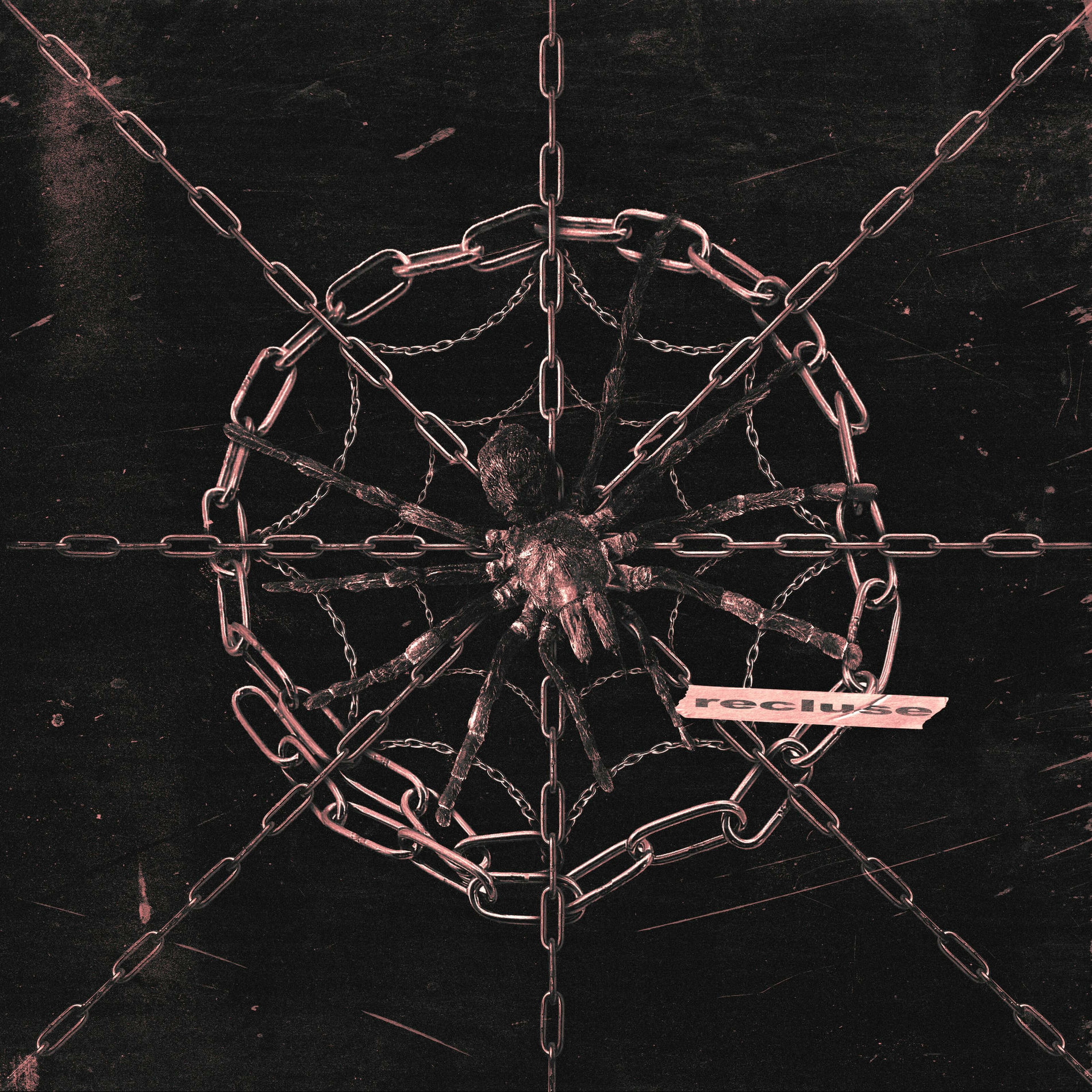 Album cover of RECLUSE
