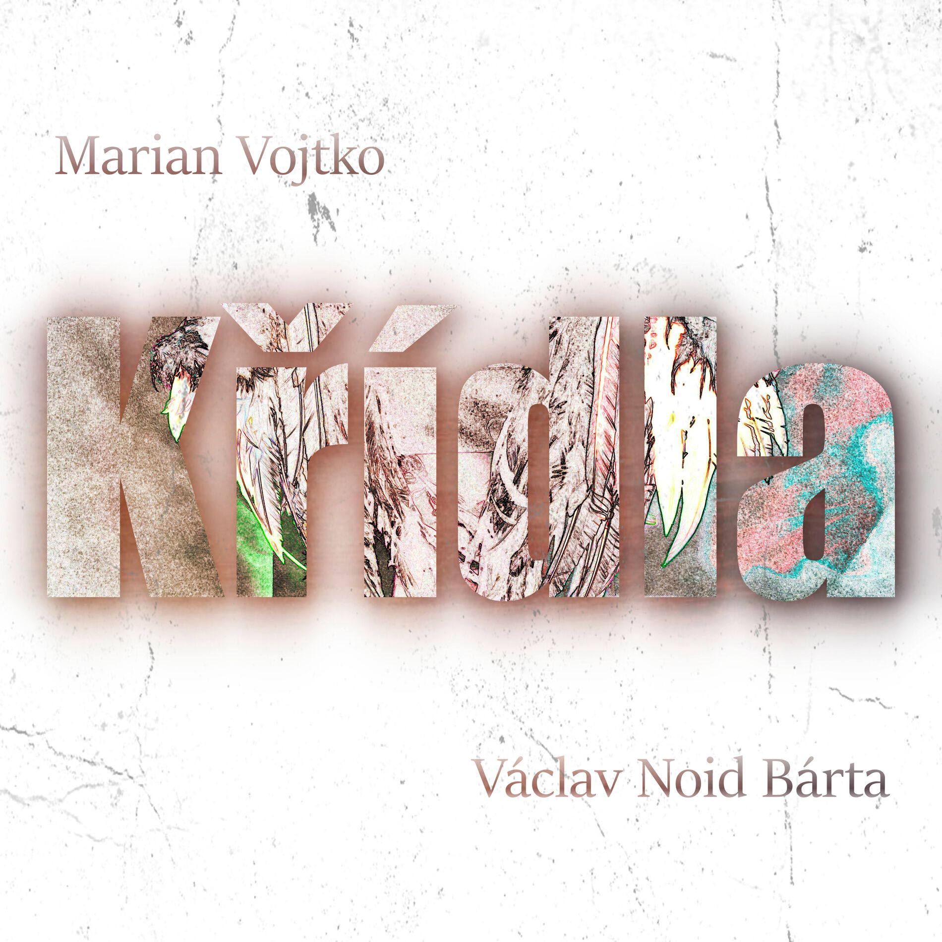 Album cover of Křídla