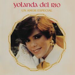 Cover of Un Amor Especial