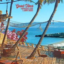Cover of Good Vibes