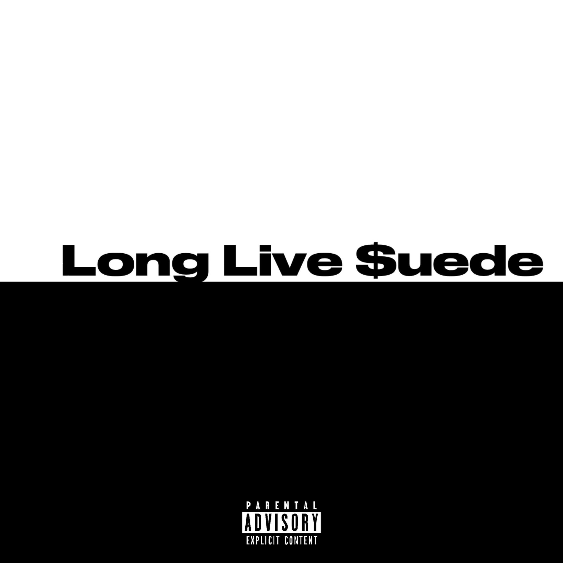 Album cover of Long Live Suede (feat. MoneySign Suede & Rich rabbit )
